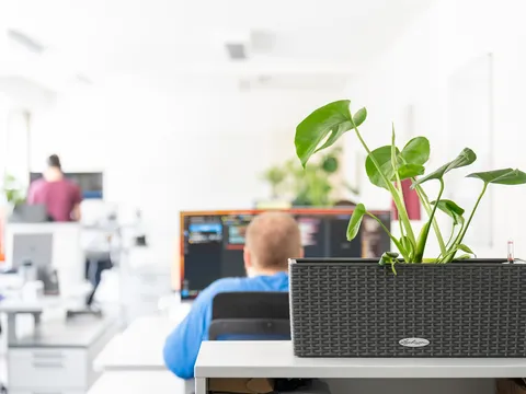 Jetzt bewerben – Job als Interaction Designer:in